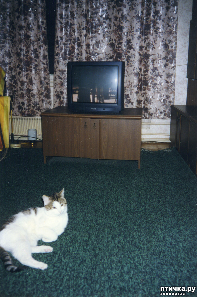 ���� 1: ������ � �����