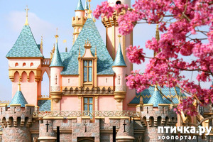 ����: ��������� �����������