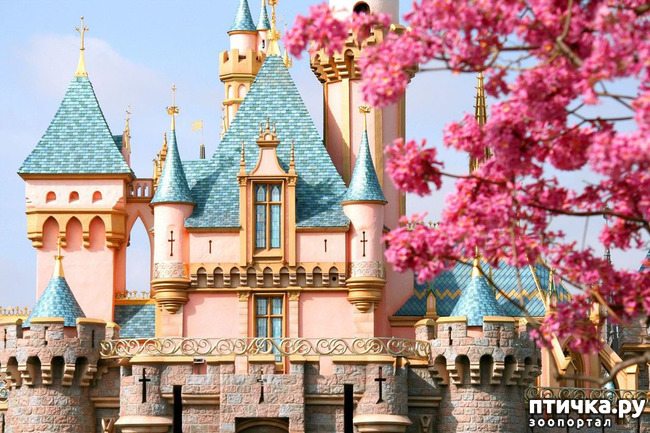 ���� 1: ��������� �����������