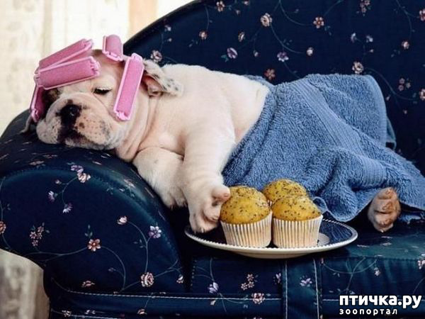 ���� 1: ����������� � ���������