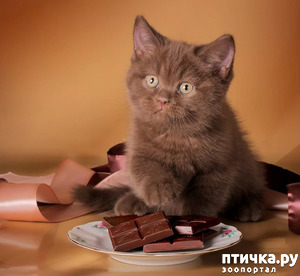 ����: ���������� ������!