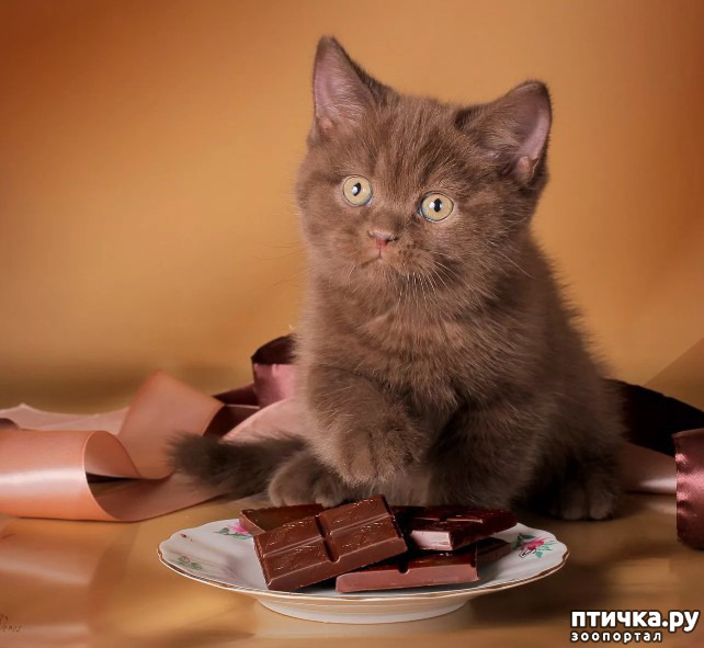 ���� 1: ���������� ������!