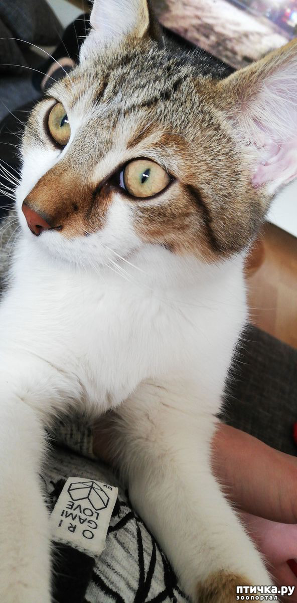 ���� 1: ����� � ��� �������