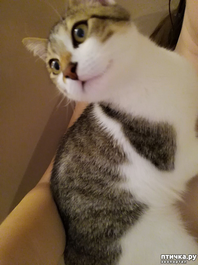 ���� 2: ����� � ��� �������