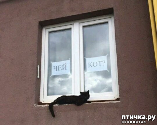 ���� 1: ������� � ������.