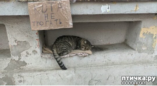 ���� 2: ������� � ������.