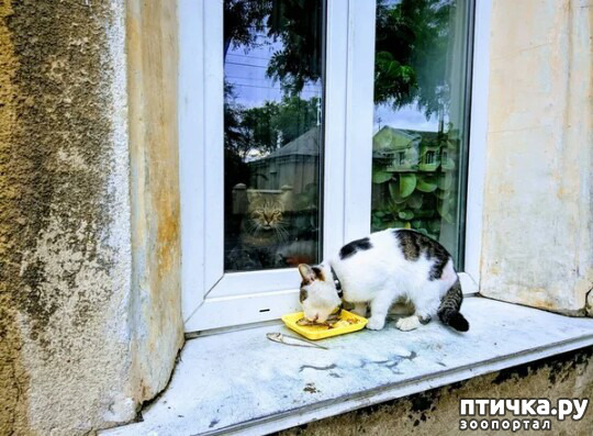 ���� 3: ������� � ������.