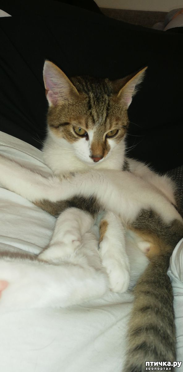 ���� 5: ����� � ��� �������