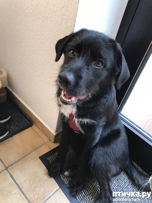 фотография: Эмма фото: Эмма