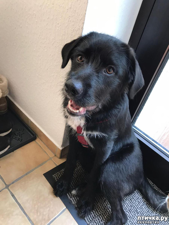 ���� 1: ����