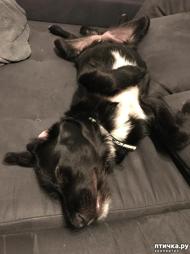 ���� 3: ����