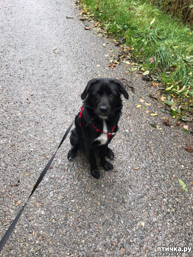 ���� 4: ����