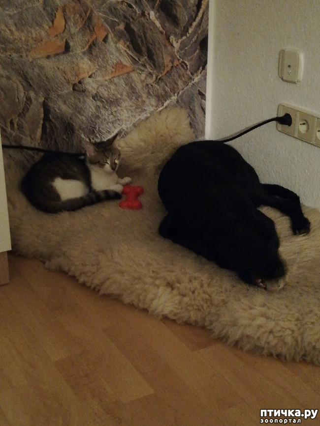 ���� 5: ����