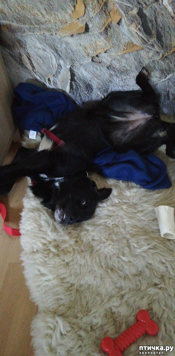 ���� 6: ����