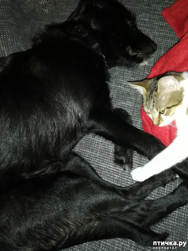 ���� 7: ����