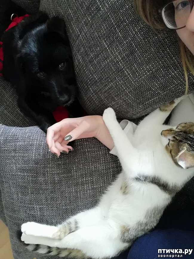 ���� 8: ����