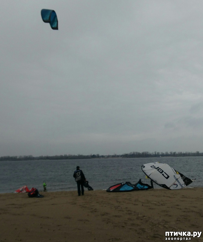 ���� 9: �����. ������.