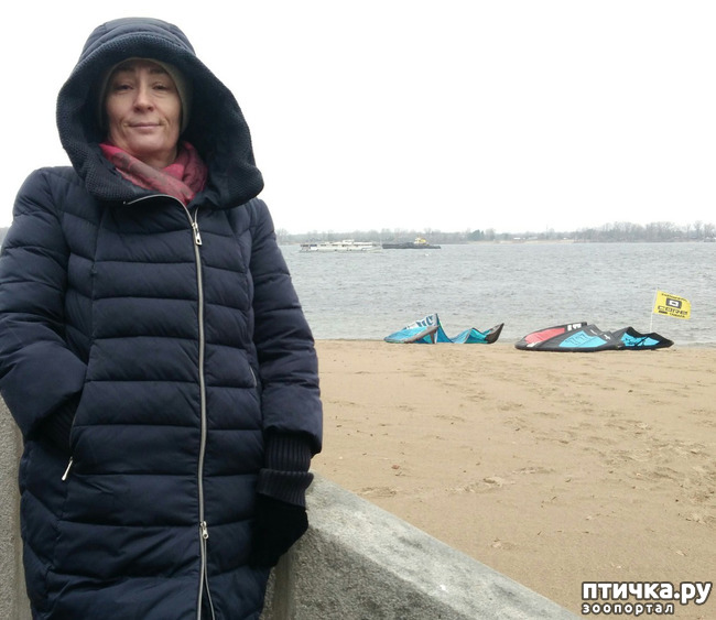 ���� 10: �����. ������.