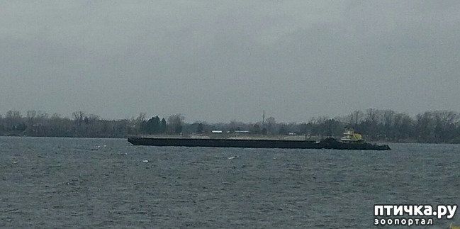 ���� 3: �����. ������.