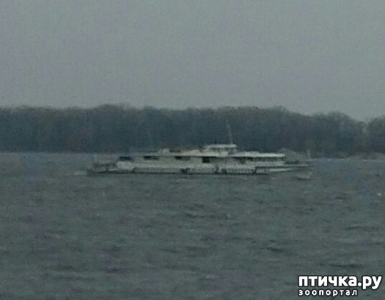 ���� 2: �����. ������.