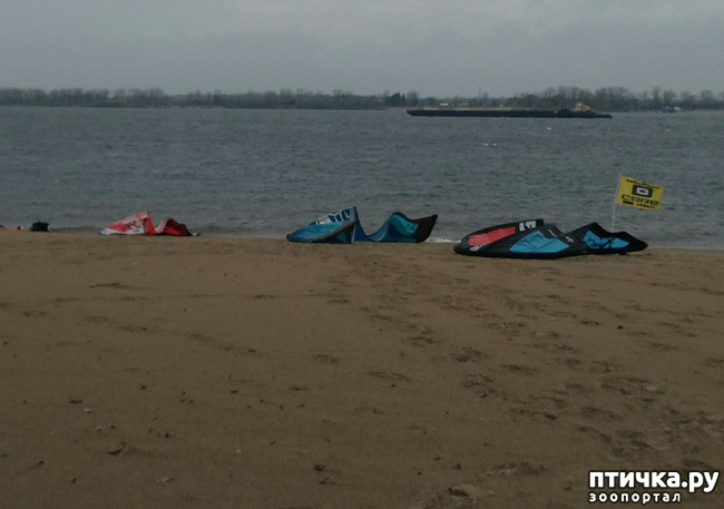 ���� 4: �����. ������.