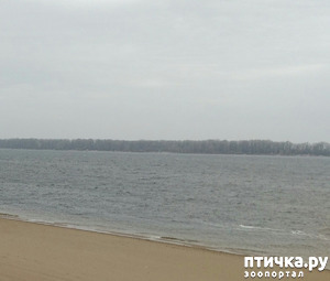 фотография: ОСЕНЬ. САМАРА. фото: ОСЕНЬ. САМАРА.