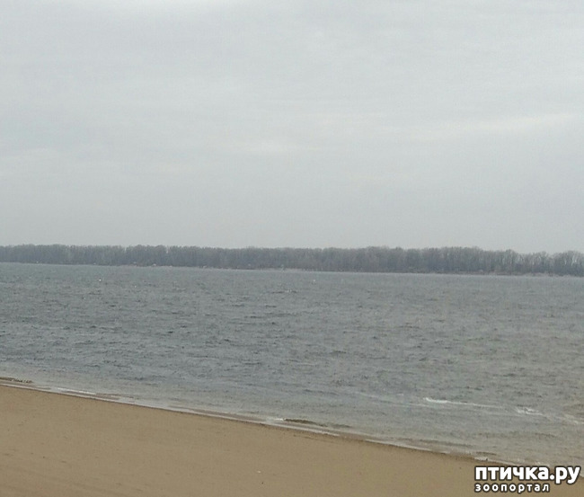 ���� 1: �����. ������.