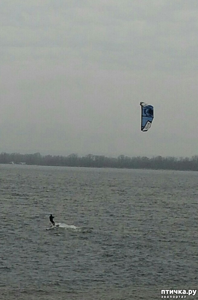 ���� 7: �����. ������.