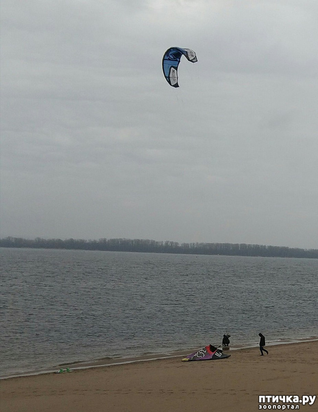 ���� 6: �����. ������.