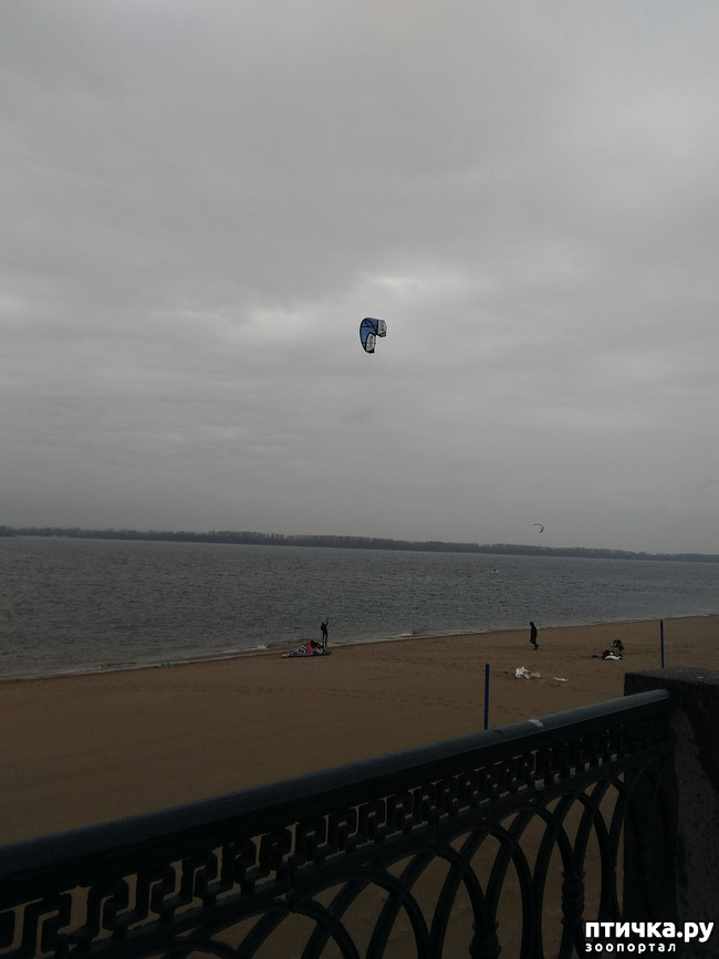 ���� 5: �����. ������.