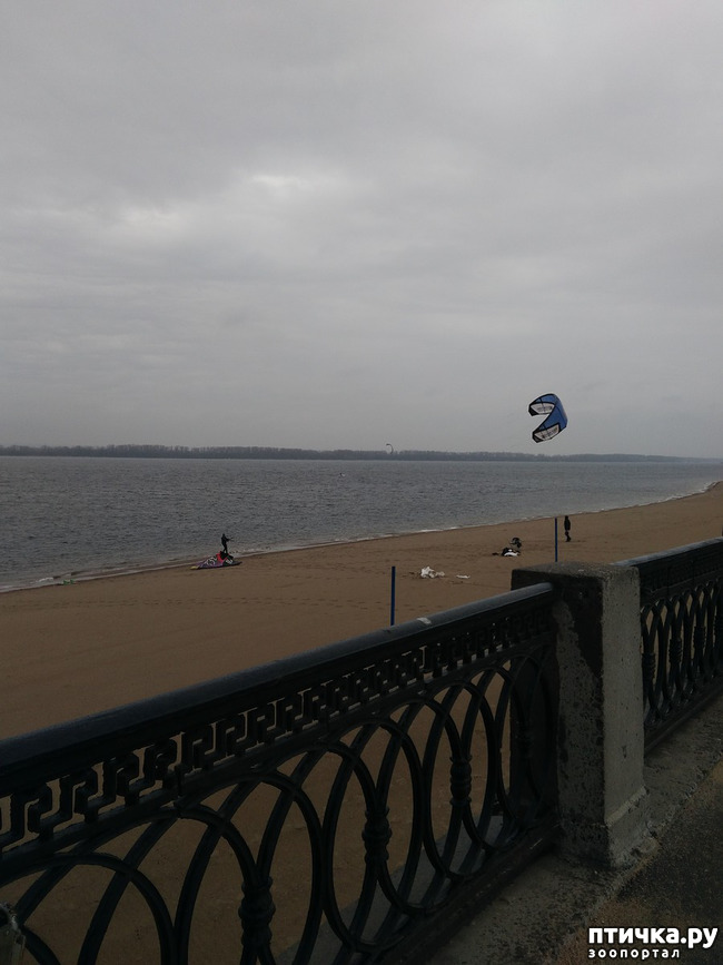 ���� 8: �����. ������.