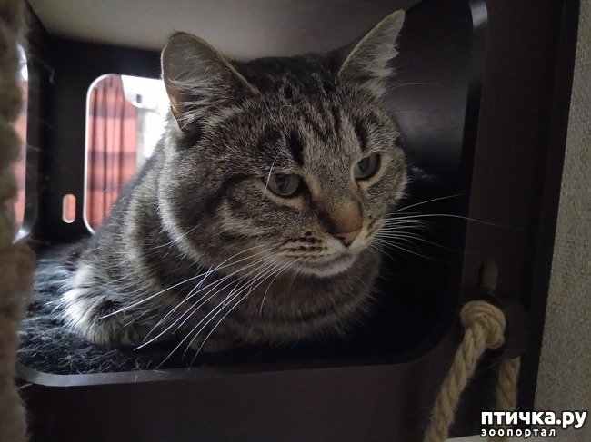 ���� 2: ������.