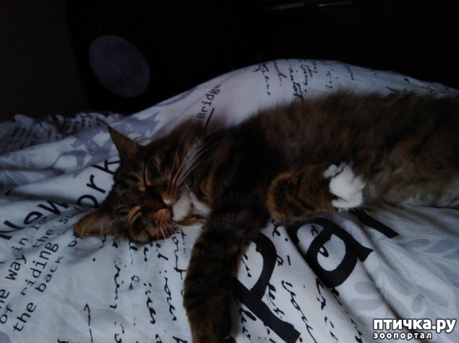 ���� 3: ������.