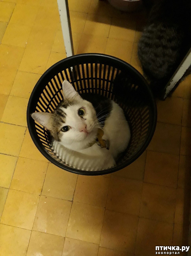  7:    -   
