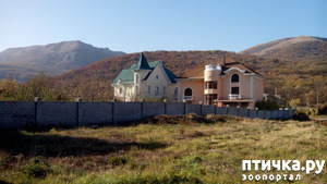 ����: �������� ���������� ������