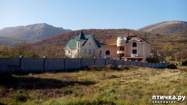 ���� 1: �������� ���������� ������