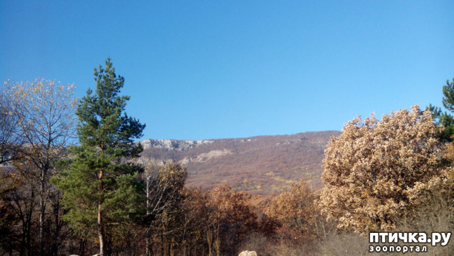 ���� 2: �������� ���������� ������