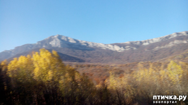 ���� 3: �������� ���������� ������