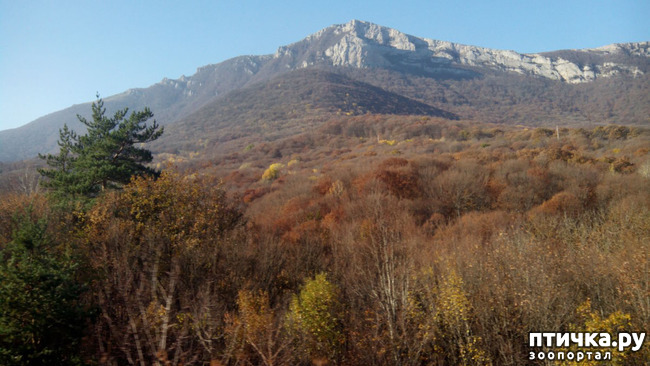 ���� 4: �������� ���������� ������