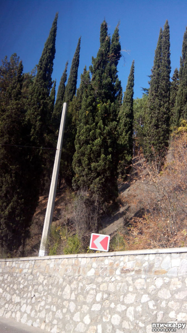 ���� 5: �������� ���������� ������