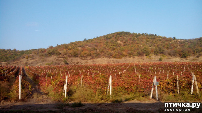 ���� 6: �������� ���������� ������