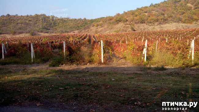 ���� 7: �������� ���������� ������