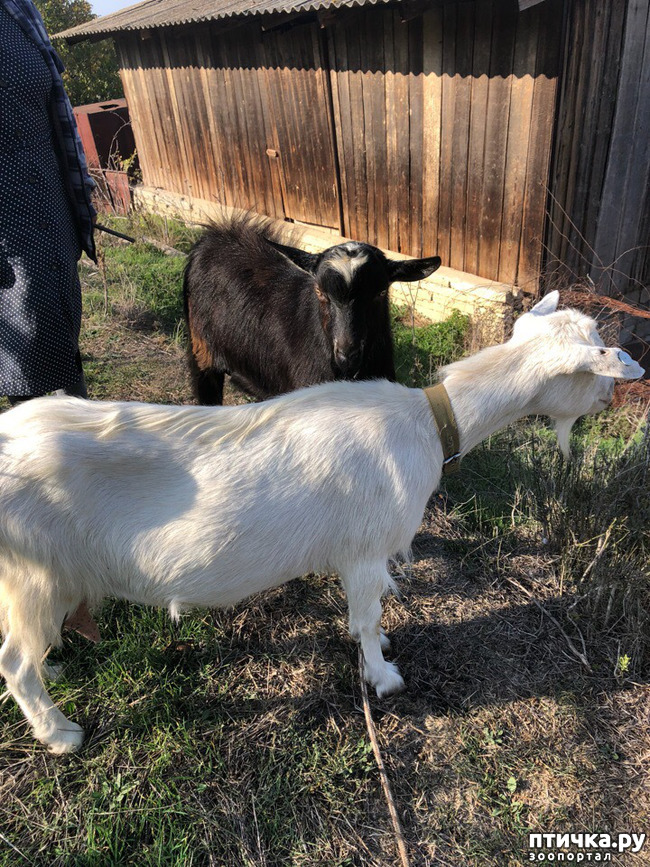 ���� 2: ����� ����� �� �����