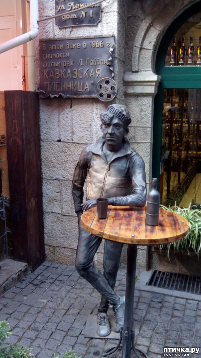 ���� 8: �������� ���������� ������