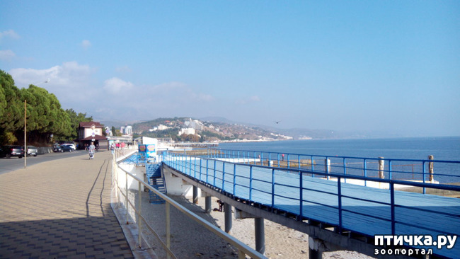 ���� 9: �������� ���������� ������