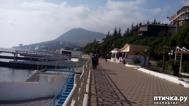 ���� 10: �������� ���������� ������