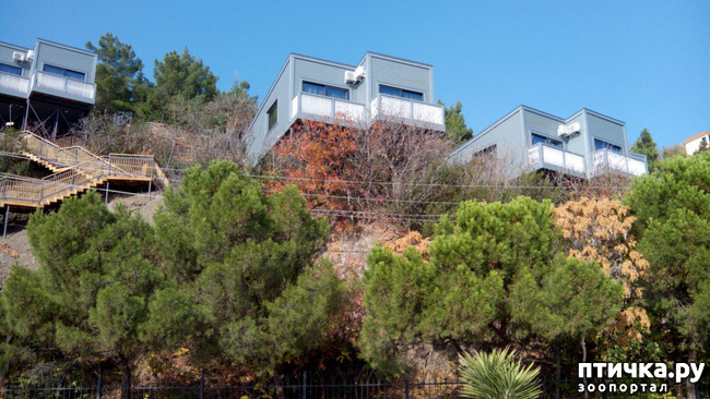 ���� 11: �������� ���������� ������