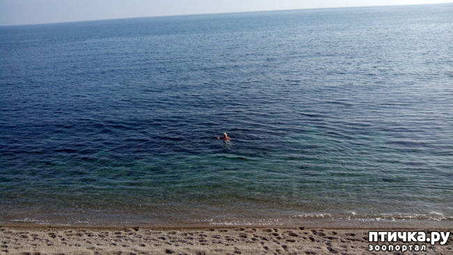 ���� 12: �������� ���������� ������