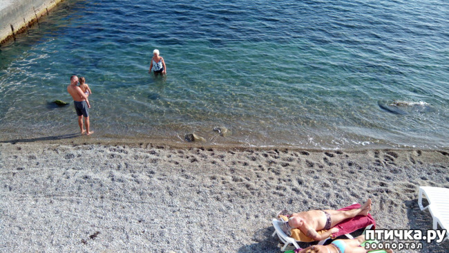 ���� 13: �������� ���������� ������