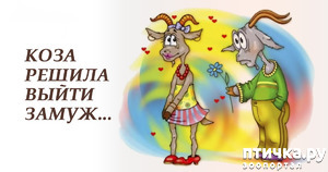 фотография: Вышла замуж за козла фото: Вышла замуж за козла